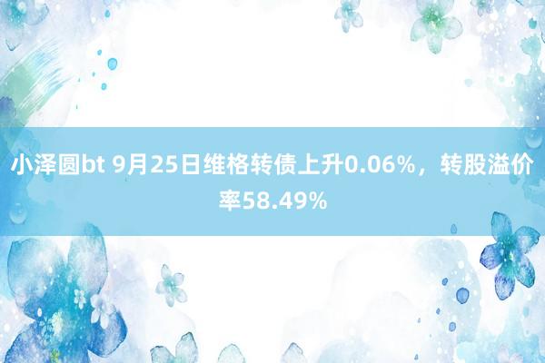 小泽圆bt 9月25日维格转债上升0.06%，转股溢价率58.49%