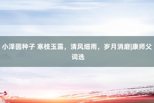 小泽圆种子 寒枝玉露,清风细雨,岁月消磨|康师父 词选