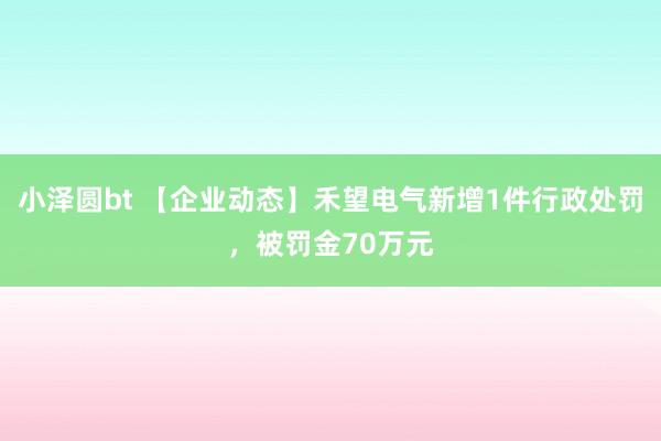 小泽圆bt 【企业动态】禾望电气新增1件行政处罚，被罚金70万元