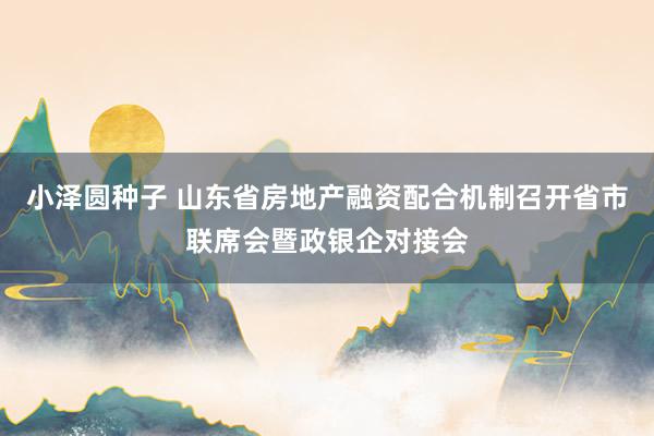 小泽圆种子 山东省房地产融资配合机制召开省市联席会暨政银企对接会