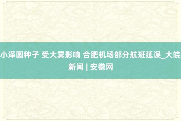 小泽圆种子 受大雾影响 合肥机场部分航班延误_大皖新闻 | 安徽网
