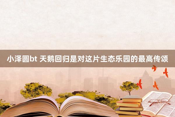 小泽圆bt 天鹅回归是对这片生态乐园的最高传颂