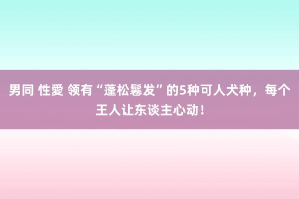 男同 性愛 领有“蓬松鬈发”的5种可人犬种，每个王人让东谈主心动！