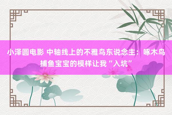 小泽圆电影 中轴线上的不雅鸟东说念主：啄木鸟捕鱼宝宝的模样让我“入坑”