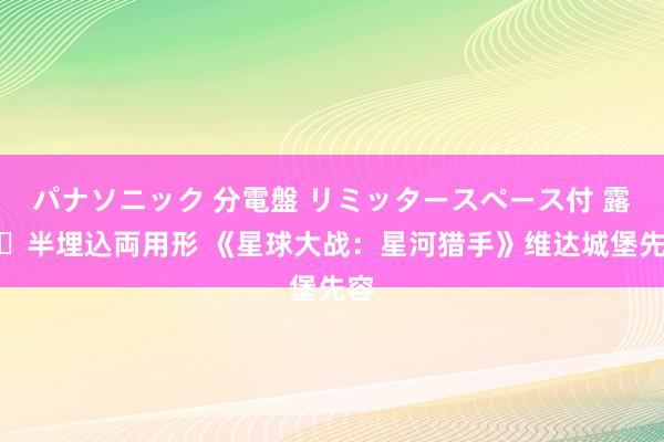 パナソニック 分電盤 リミッタースペース付 露出・半埋込両用形 《星球大战：星河猎手》维达城堡先容