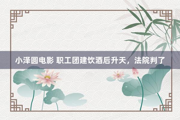 小泽圆电影 职工团建饮酒后升天，法院判了