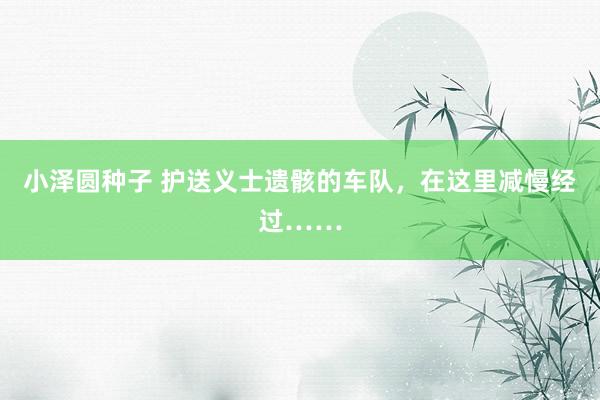 小泽圆种子 护送义士遗骸的车队，在这里减慢经过……