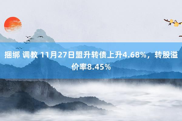 捆绑 调教 11月27日盟升转债上升4.68%，转股溢价率8.45%