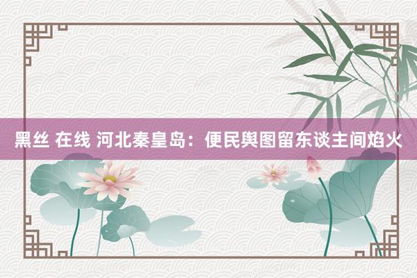 黑丝 在线 河北秦皇岛：便民舆图留东谈主间焰火
