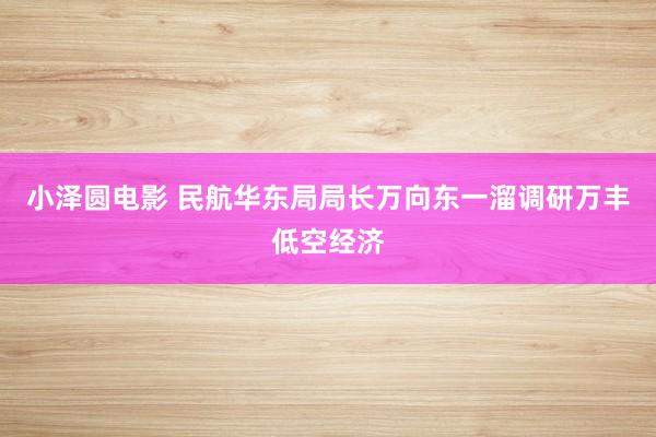 小泽圆电影 民航华东局局长万向东一溜调研万丰低空经济