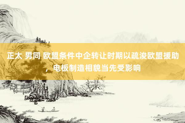 正太 男同 欧盟条件中企转让时期以疏浚欧盟援助，电板制造相貌当先受影响
