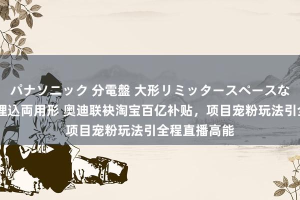 パナソニック 分電盤 大形リミッタースペースなし 露出・半埋込両用形 奥迪联袂淘宝百亿补贴，项目宠粉玩法引全程直播高能