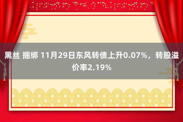 黑丝 捆绑 11月29日东风转债上升0.07%，转股溢价率2.19%