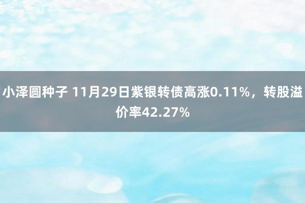 小泽圆种子 11月29日紫银转债高涨0.11%，转股溢价率42.27%
