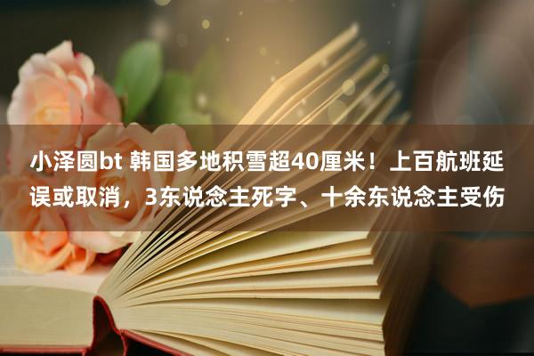 小泽圆bt 韩国多地积雪超40厘米！上百航班延误或取消，3东说念主死字、十余东说念主受伤