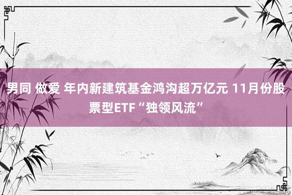 男同 做爱 年内新建筑基金鸿沟超万亿元 11月份股票型ETF“独领风流”