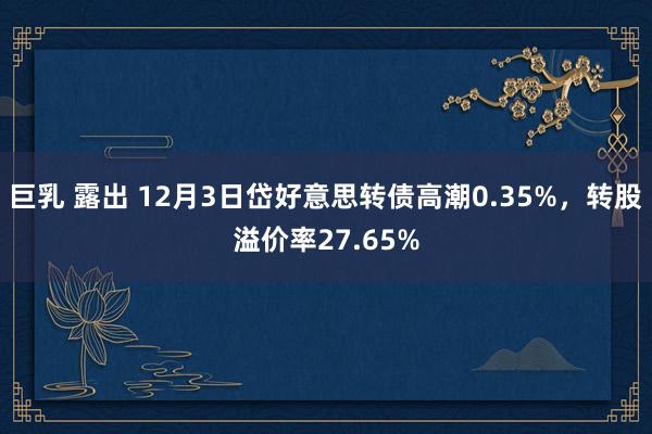 巨乳 露出 12月3日岱好意思转债高潮0.35%，转股溢价率27.65%