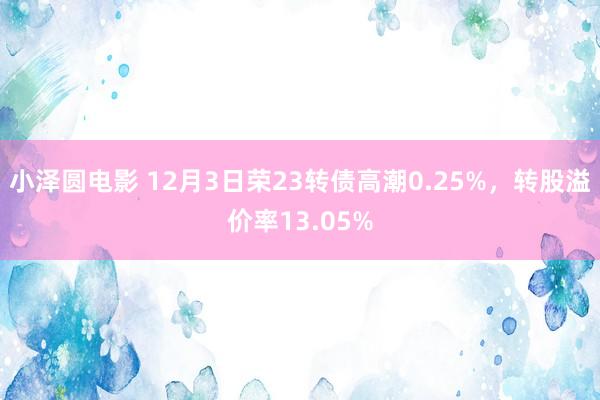 小泽圆电影 12月3日荣23转债高潮0.25%，转股溢价率13.05%
