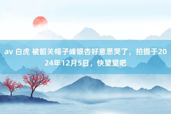 av 白虎 被韶关帽子峰银杏好意思哭了，拍摄于2024年12月5日，快望望吧