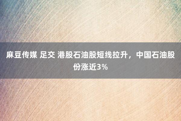 麻豆传媒 足交 港股石油股短线拉升，中国石油股份涨近3%