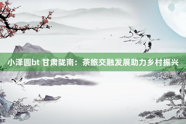 小泽圆bt 甘肃陇南：茶旅交融发展助力乡村振兴