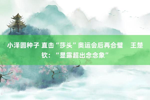 小泽圆种子 直击“莎头”奥运会后再合璧    王楚钦：“显露超出念念象”