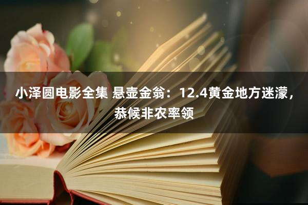小泽圆电影全集 悬壶金翁：12.4黄金地方迷濛，恭候非农率领