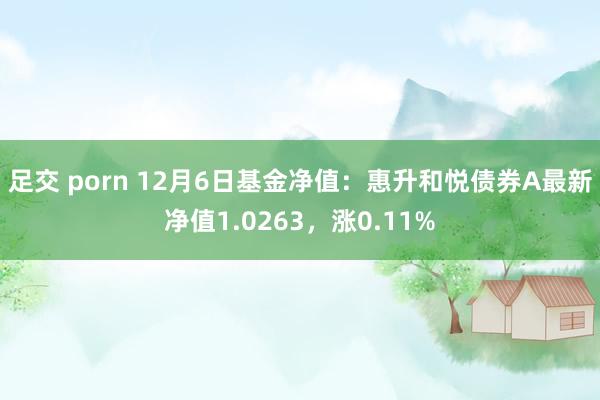 足交 porn 12月6日基金净值：惠升和悦债券A最新净值1.0263，涨0.11%