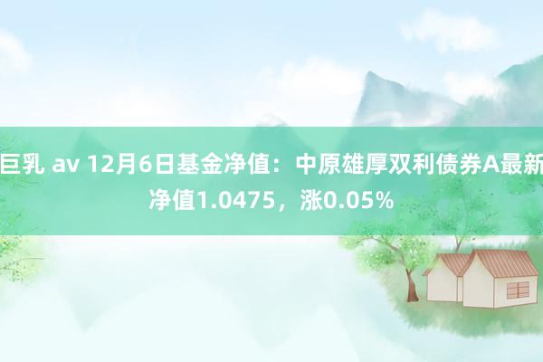 巨乳 av 12月6日基金净值：中原雄厚双利债券A最新净值1.0475，涨0.05%