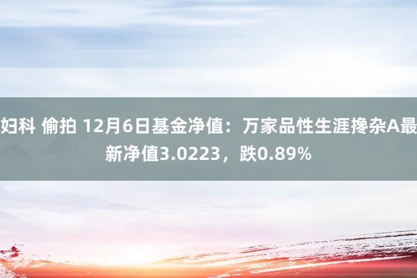 妇科 偷拍 12月6日基金净值：万家品性生涯搀杂A最新净值3.0223，跌0.89%