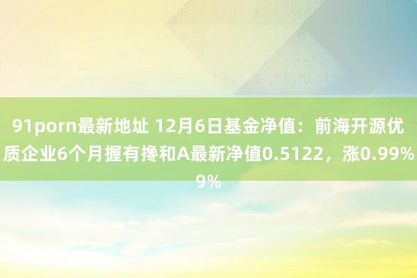 91porn最新地址 12月6日基金净值：前海开源优质企业6个月握有搀和A最新净值0.5122，涨0.99%