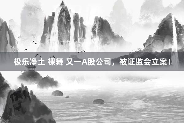 极乐净土 裸舞 又一A股公司，被证监会立案！