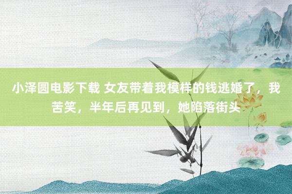 小泽圆电影下载 女友带着我模样的钱逃婚了，我苦笑，半年后再见到，她陷落街头