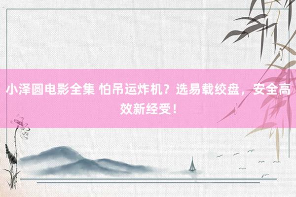 小泽圆电影全集 怕吊运炸机？选易载绞盘，安全高效新经受！