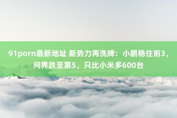 91porn最新地址 新势力再洗牌：小鹏稳住前3，问界跌至第5，只比小米多600台
