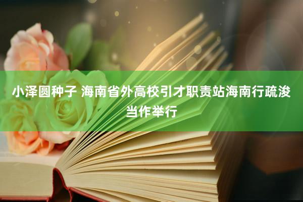 小泽圆种子 海南省外高校引才职责站海南行疏浚当作举行