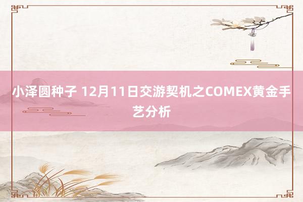 小泽圆种子 12月11日交游契机之COMEX黄金手艺分析
