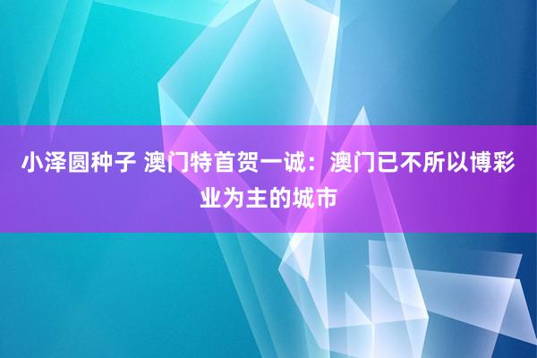 小泽圆种子 澳门特首贺一诚：澳门已不所以博彩业为主的城市