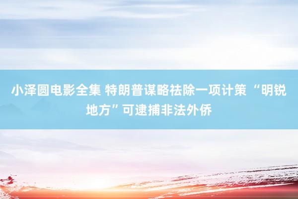 小泽圆电影全集 特朗普谋略祛除一项计策 “明锐地方”可逮捕非法外侨