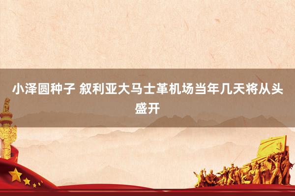 小泽圆种子 叙利亚大马士革机场当年几天将从头盛开