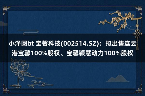 小泽圆bt 宝馨科技(002514.SZ)：拟出售连云港宝馨100%股权、宝馨颖慧动力100%股权