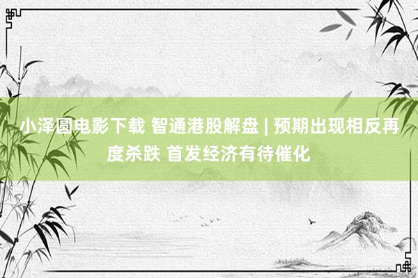 小泽圆电影下载 智通港股解盘 | 预期出现相反再度杀跌 首发经济有待催化