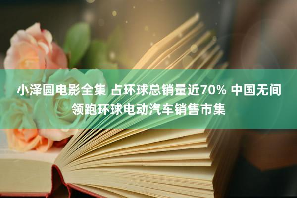 小泽圆电影全集 占环球总销量近70% 中国无间领跑环球电动汽车销售市集