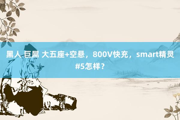 黑人 巨屌 大五座+空悬，800V快充，smart精灵#5怎样？