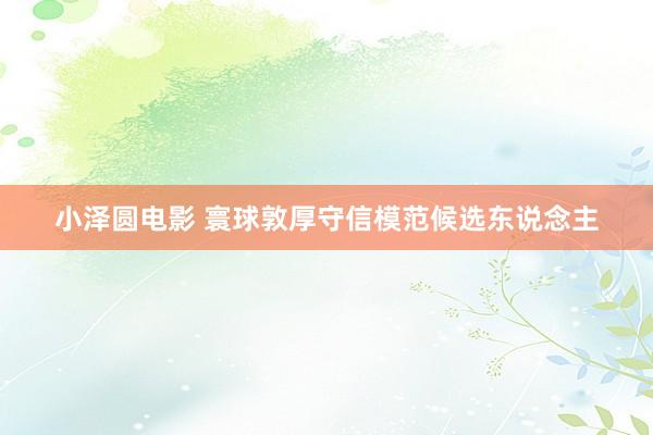 小泽圆电影 寰球敦厚守信模范候选东说念主