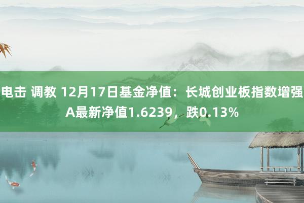 电击 调教 12月17日基金净值：长城创业板指数增强A最新净值1.6239，跌0.13%