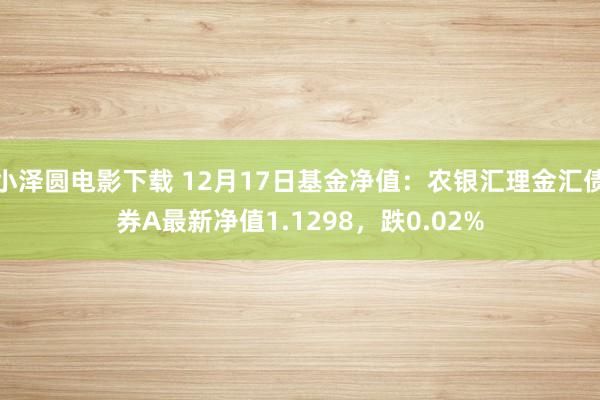 小泽圆电影下载 12月17日基金净值：农银汇理金汇债券A最新净值1.1298，跌0.02%