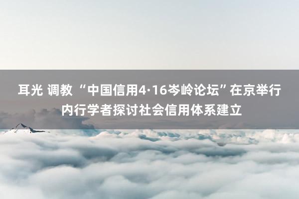 耳光 调教 “中国信用4·16岑岭论坛”在京举行 内行学者探讨社会信用体系建立