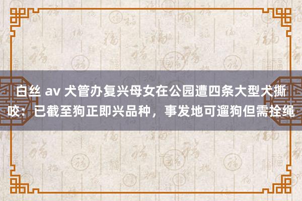 白丝 av 犬管办复兴母女在公园遭四条大型犬撕咬：已截至狗正即兴品种，事发地可遛狗但需拴绳