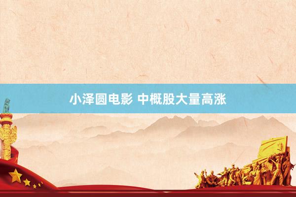 小泽圆电影 中概股大量高涨